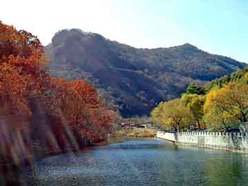 新澳天天开奖资料大全旅游团，yy频道设计